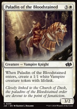 Paladin of the Bloodstained