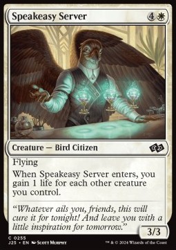 Speakeasy Server