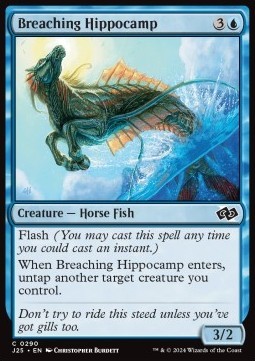 Breaching Hippocamp