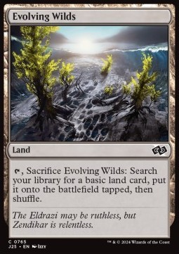 Evolving Wilds