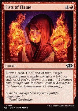Fists of Flame