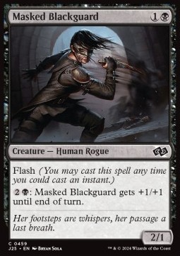 Masked Blackguard