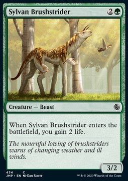 Sylvan Brushstrider