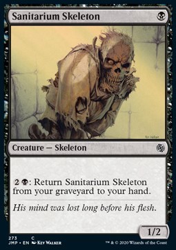 Sanitarium Skeleton