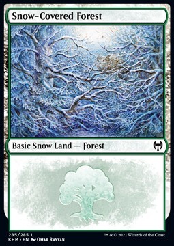 Snow-Covered Forest (V.2)