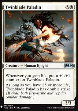 Twinblade Paladin