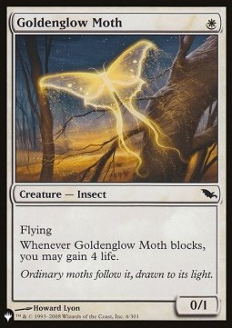 Goldenglow Moth