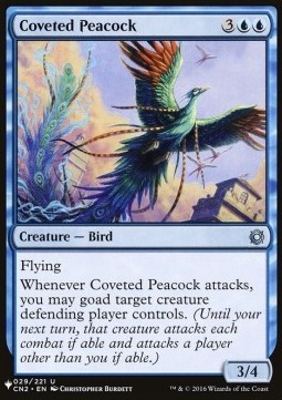 Coveted Peacock