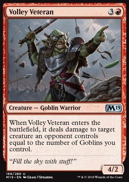 Volley Veteran