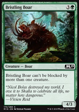 Bristling Boar