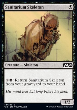 Sanitarium Skeleton