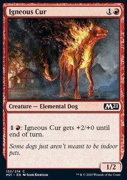 Igneous Cur