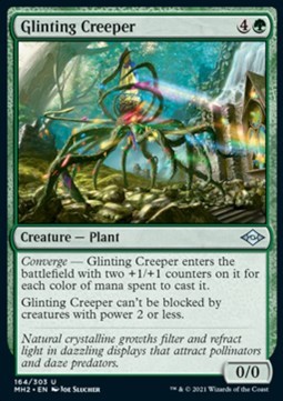 Glinting Creeper