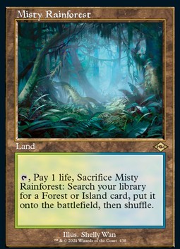 Misty Rainforest (V.1)
