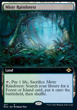 Misty Rainforest (V.2)