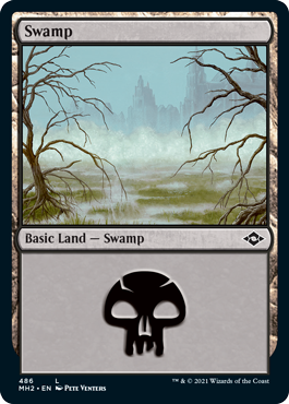 Swamp V2
