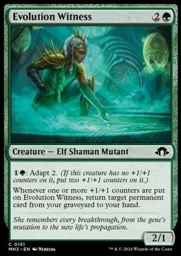 Evolution Witness