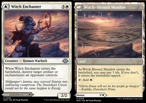 Witch Enchanter // Witch-Blessed Meadow