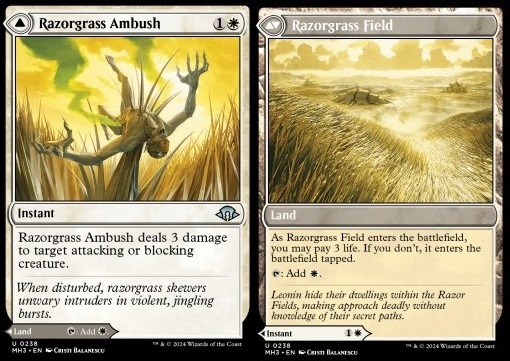 Razorgrass Ambush // Razorgrass Field