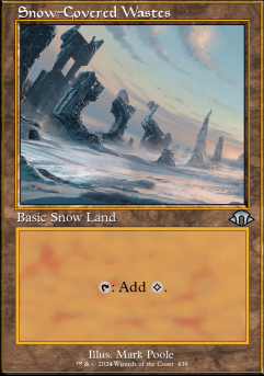 Snow-Covered Wastes