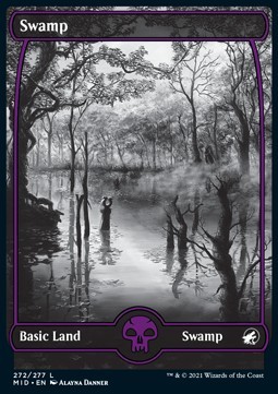 Swamp (V.1)
