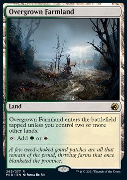 Overgrown Farmland