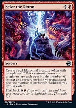 Seize the Storm