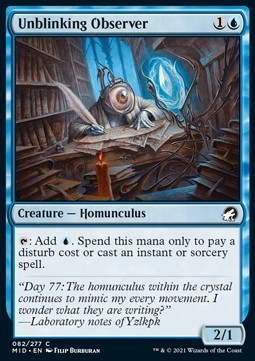 Unblinking Observer