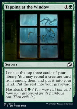 Tapping at the Window