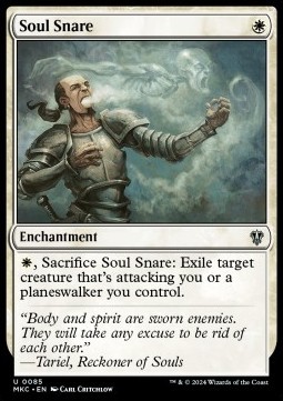 Soul Snare