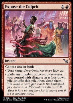 Expose the Culprit