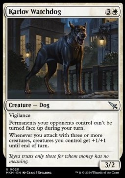 Karlov Watchdog