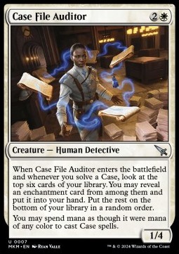 Case File Auditor (BLUE ink version)