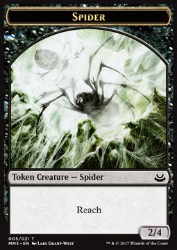 Spider