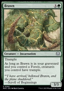 Brawn