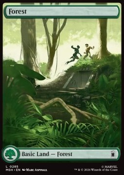 Forest (V.1)