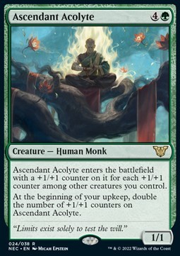 Ascendant Acolyte (V.1)