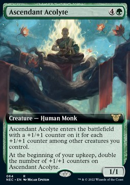 Ascendant Acolyte (V.2)