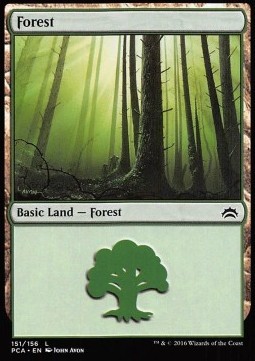Forest