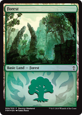 Forest version 1