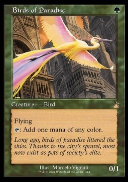 Birds of Paradise (V.1)