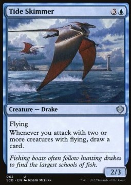 Tide Skimmer