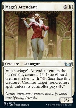 Mage's Attendant