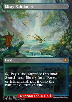 Misty Rainforest (V.2)
