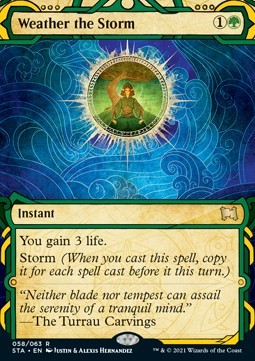 Weather the Storm (V.1)