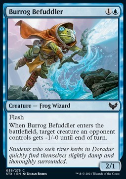 Burrog Befuddler