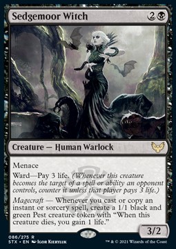 Sedgemoor Witch