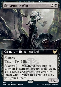 Sedgemoor Witch