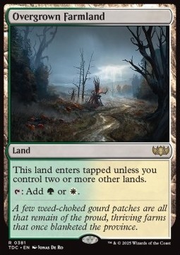 Overgrown Farmland