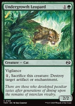 Undergrowth Leopard